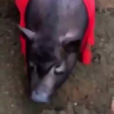 Ərd&ouml;ğ&acirc;n&ccedil;&icirc;k