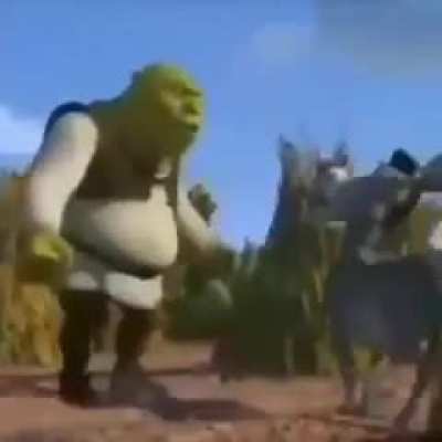 kkkk