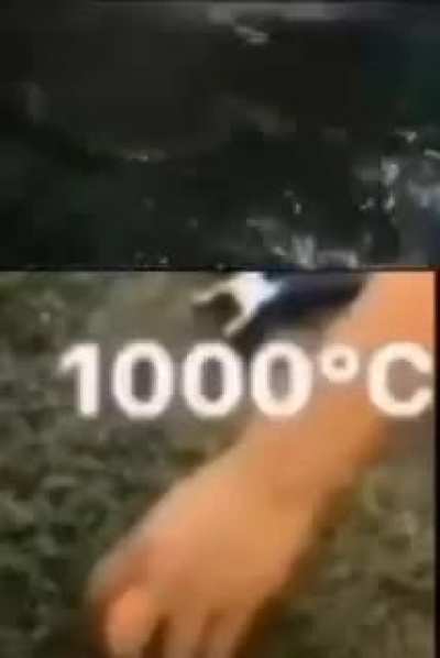AAAAAAAAAAAAAAAAAAAAAAAAAAAA
