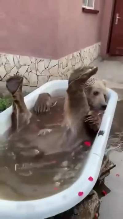 It&rsquo;s Friday, it&rsquo;s time for my weekly bath