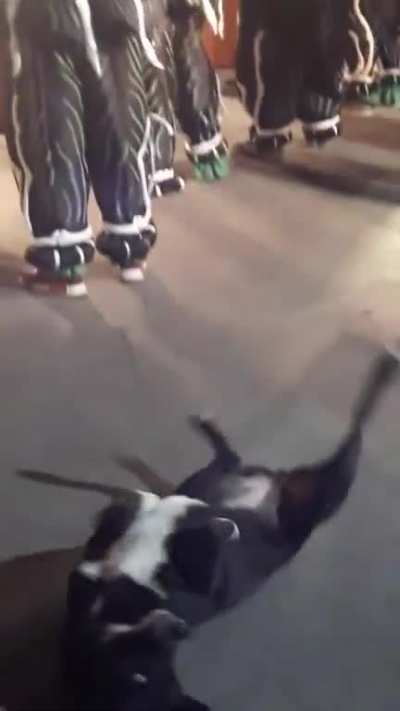 He’s got the moves.