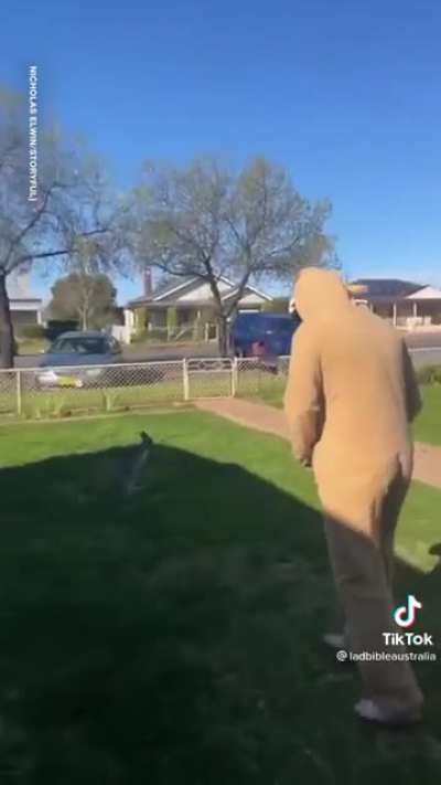maybe maybe maybe