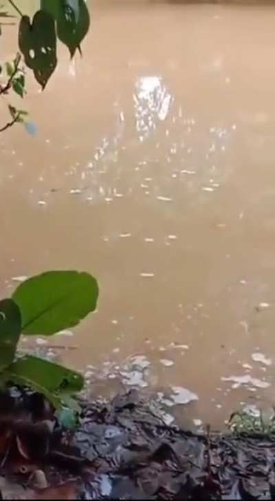 Always remember, if you can&rsquo;t see the bottom, don&rsquo;t go in the water