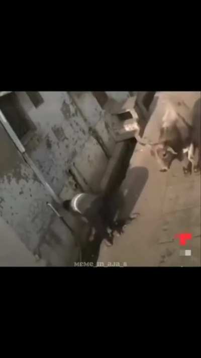 Why.