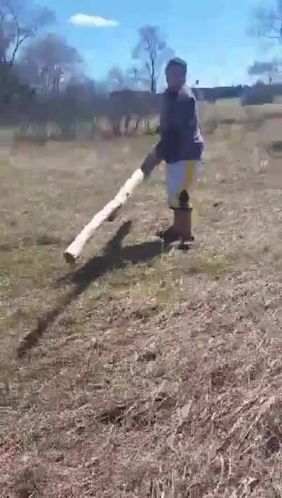 Aden conqueror of the woods