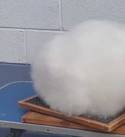 of a fluff