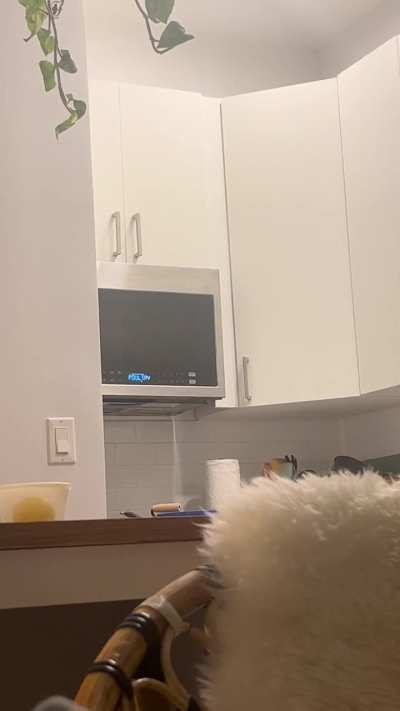 Haunted microwave