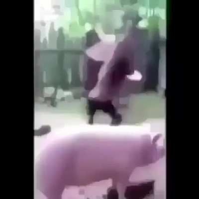 Random video #1