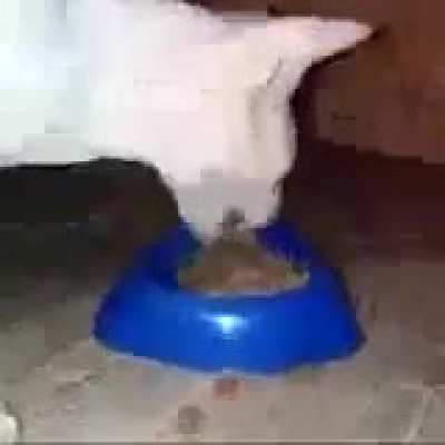 I&rsquo;m hungry