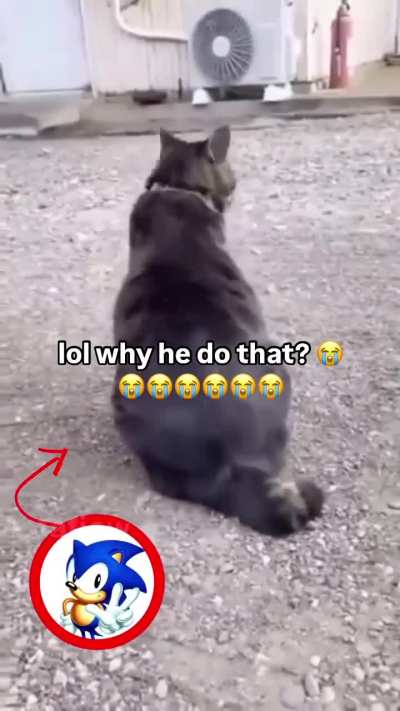 Iwnspwbslamsgdoej