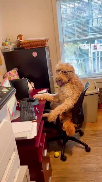 Fred&rsquo;s always busy this time of year