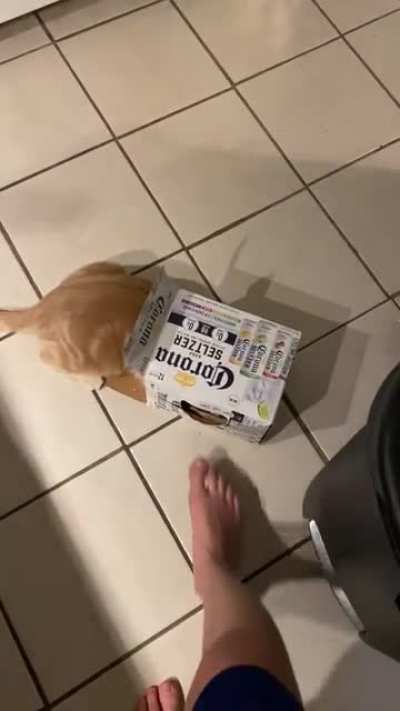 My cat&rsquo;s a little shit sometimes