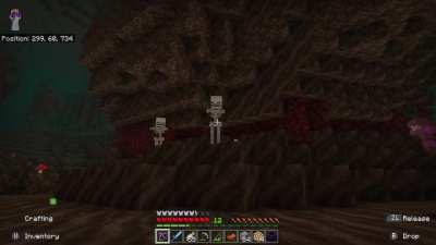 This bug randomly occurs when I&rsquo;m exploring the Nether. This is sad and completely unacceptable (Volume Warning)