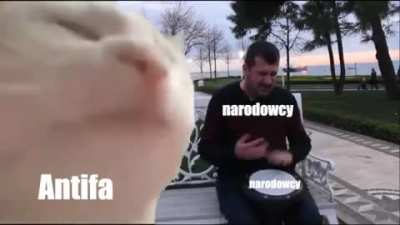 Wiem, że sporo tych przer&oacute;bek z kotem było, ale takiej jeszcze nie widziałem