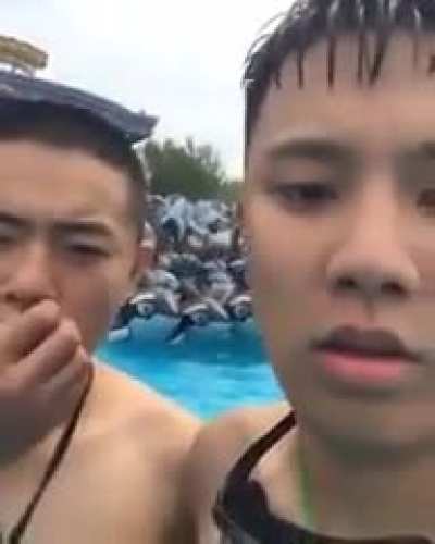 public_pool.mp4