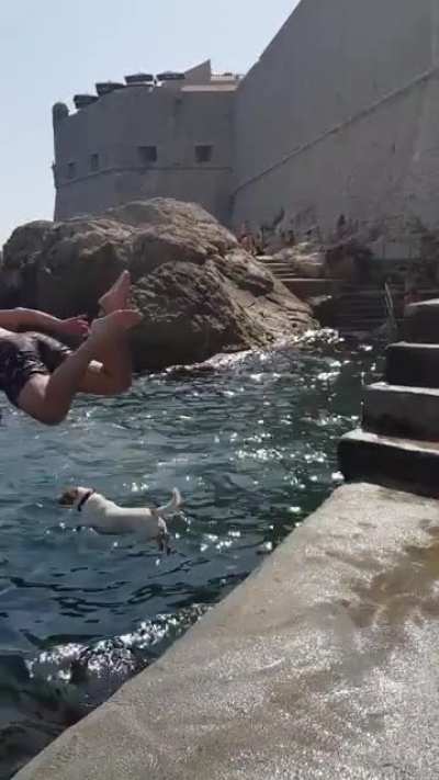 Found my new jumping buddy on vacation this year !