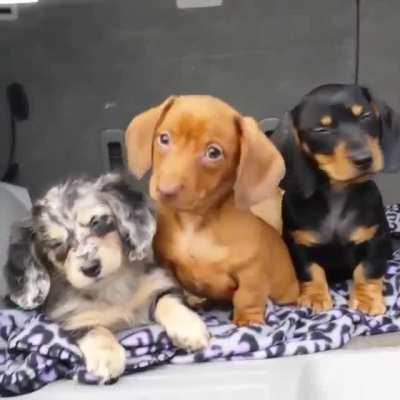 "Why must you click next... stay here with us"