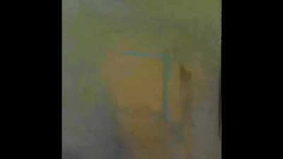 spede