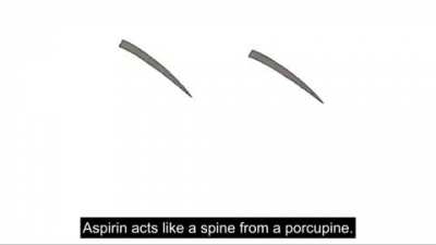 How Do Painkillers, Such As Aspirin And Ibuprofen, Work?