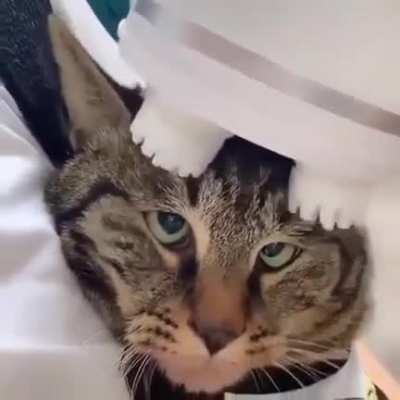 Cross-eyed scratchies