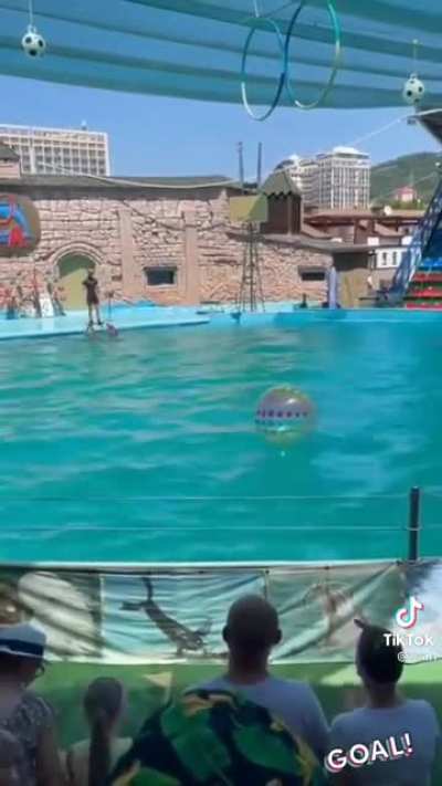 Nice shot