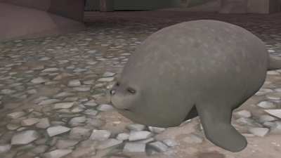 How everyone reacted to the seal.