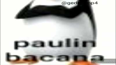S&oacute; Paulin bacana msm