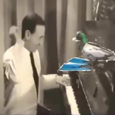 Oh n&atilde;o