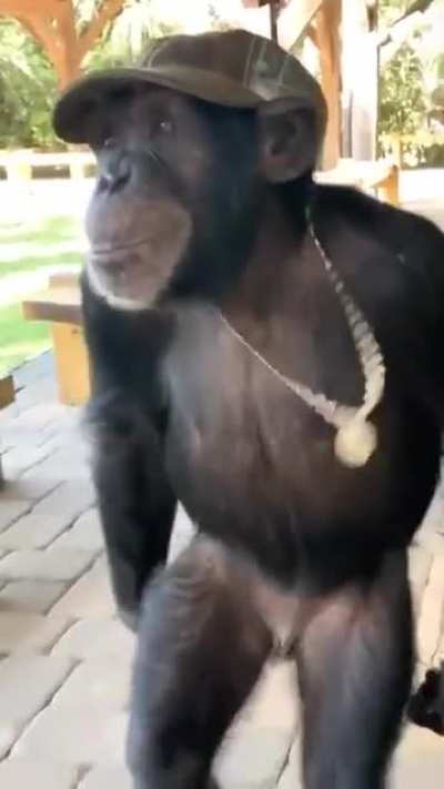 Eu a sair da worten depois de enfiar um frigor&iacute;fico inteiro pelo cu acima