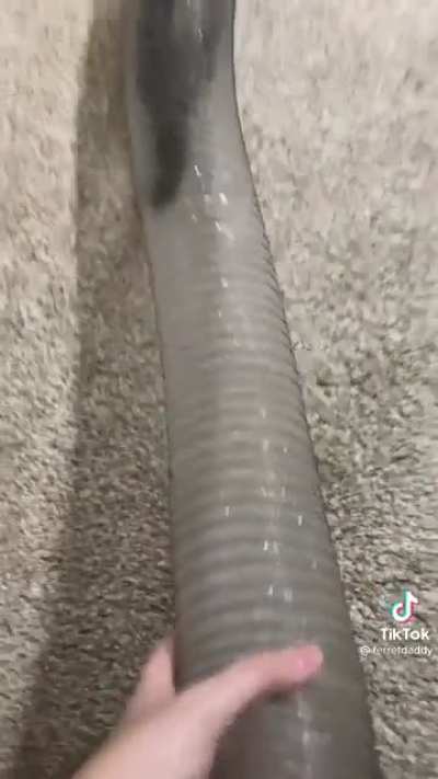 Olha o tubo galera