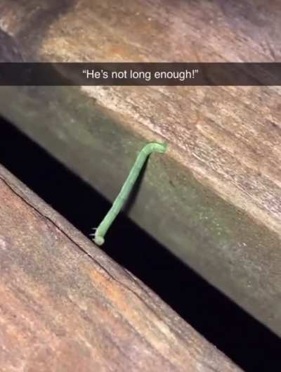 He&rsquo;s not long enough