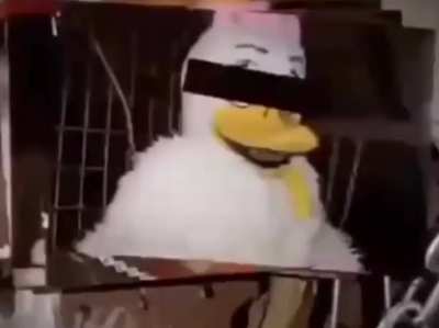 ducktales