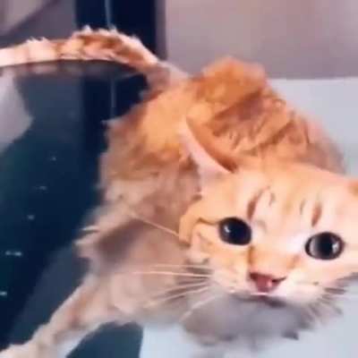 Gdospkdhdhejsj