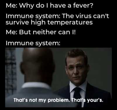None of my problem