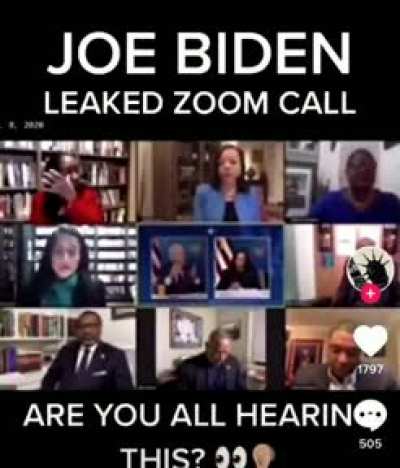 Joe Biden: "This country is DOOMED. It is doomed not just because of African Americans but because by 2040 this country is going to be minority White European."