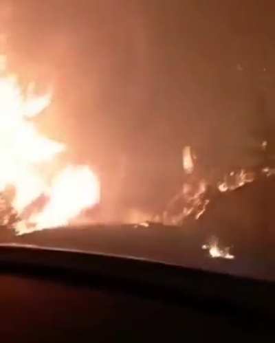 Wildfires in Turkey have reached a high level. They look really in trouble. (02/08/2021)