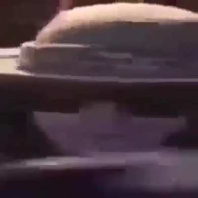 &Ntilde;i &ntilde;i &ntilde;i