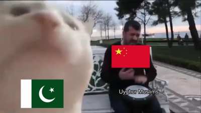 M&uuml;sl&uuml;manlar zulme uğrarken tek derdi karikat&uuml;r olanları g&uuml;zel &ouml;zetlemiş