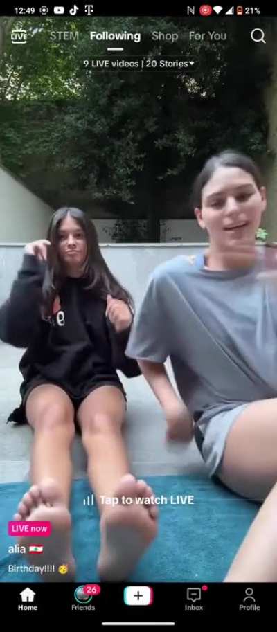 aliatortillla