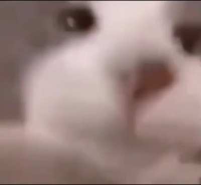 😳