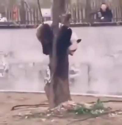 Йооопт...