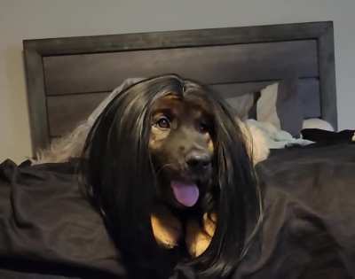 Instantly reminded me of Outcast with this wig. &eth;&eth;&eth;&para;&eth;&frac34;&eth;&para;