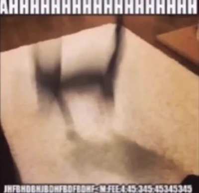 Oooooooooooooo