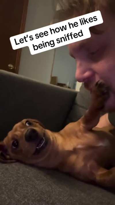 Doggo was disgusted