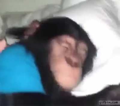 Quero dormi karai