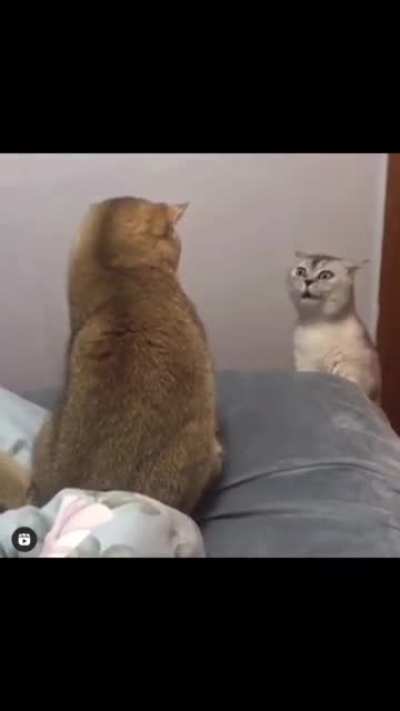 What we got goin&rsquo; on here, Curtis?