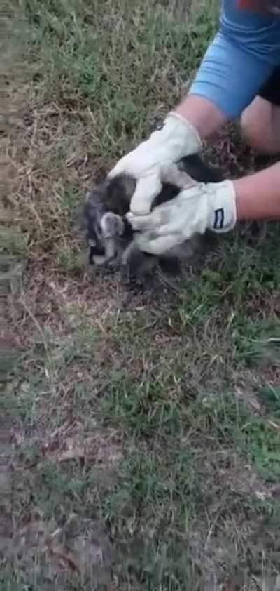 What a cute little guy
