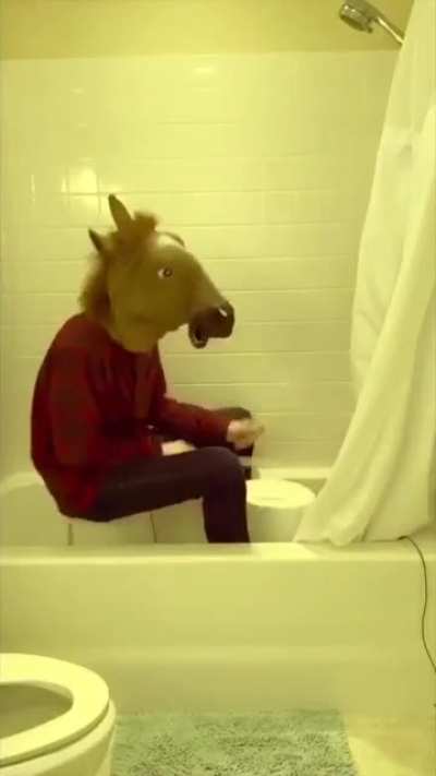Horse meme