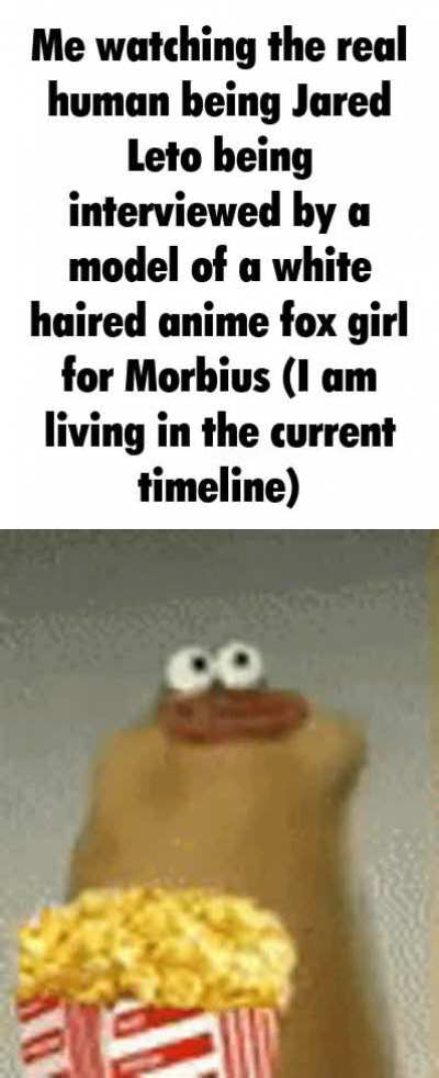 it's morb time