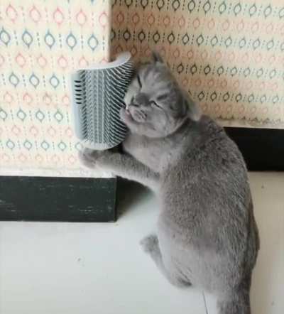 Aww Yiss!